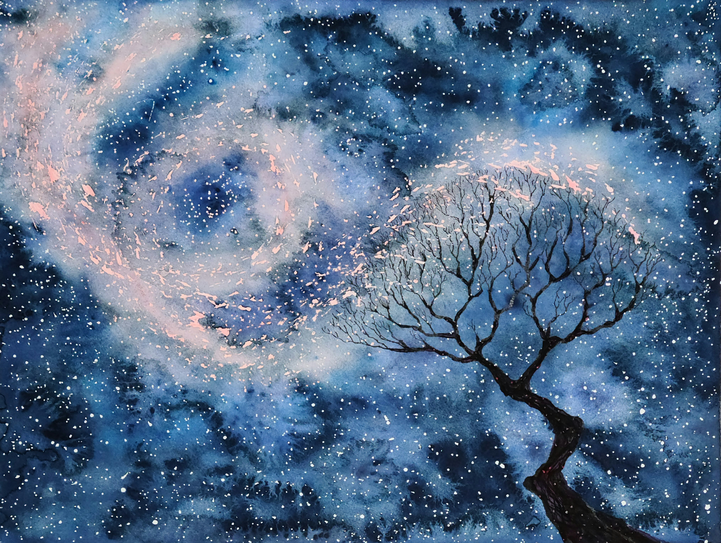 Seasons of Trees 3x5 Postcard - three