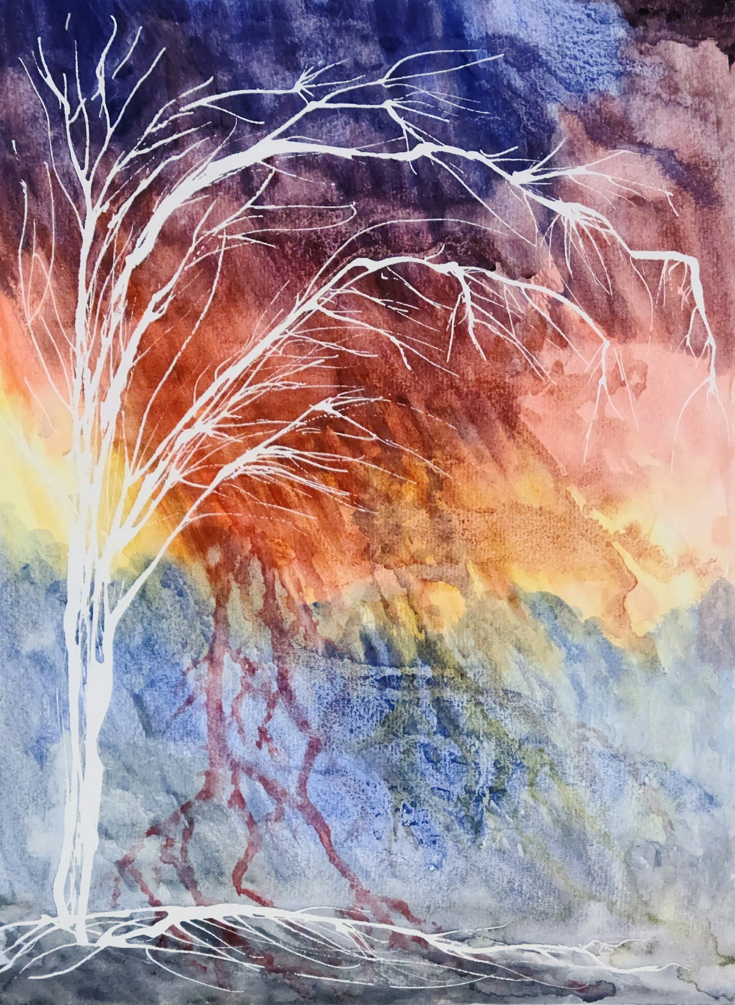 Seasons of Trees 3x5 Postcard - single