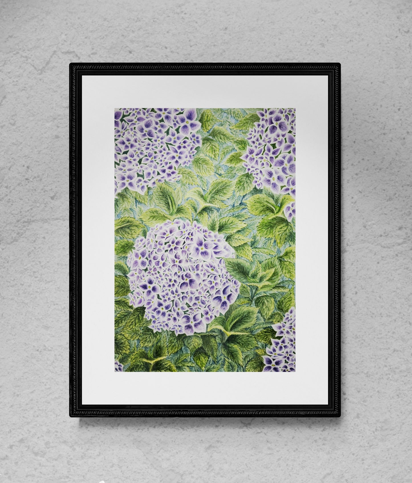 Hydrangeas