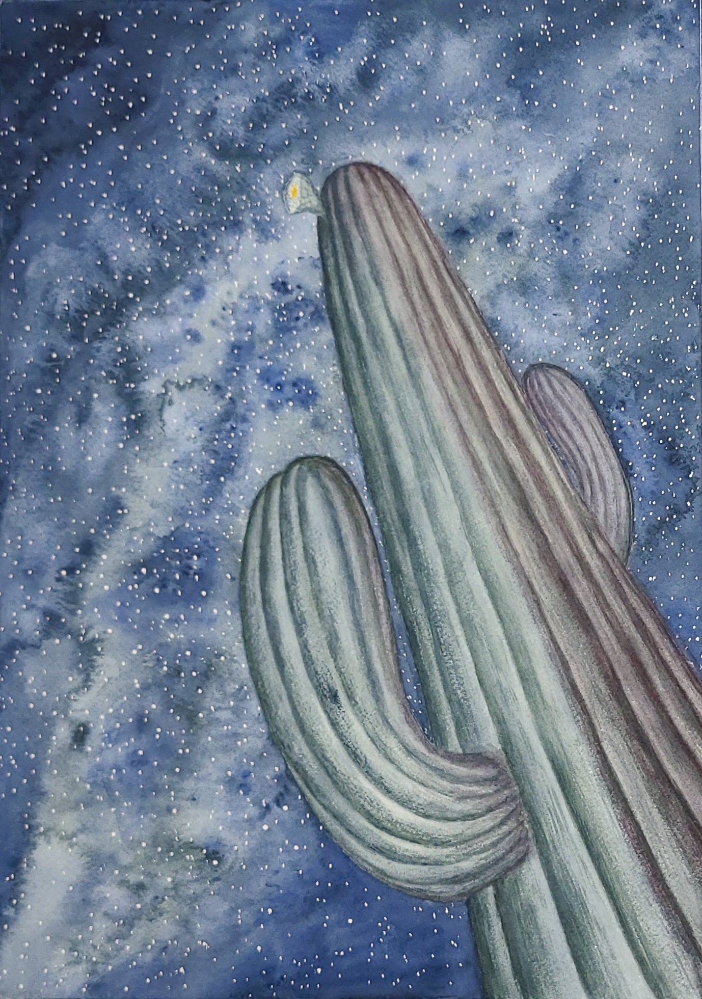 Night Skies Greeting Cards - pack of 5