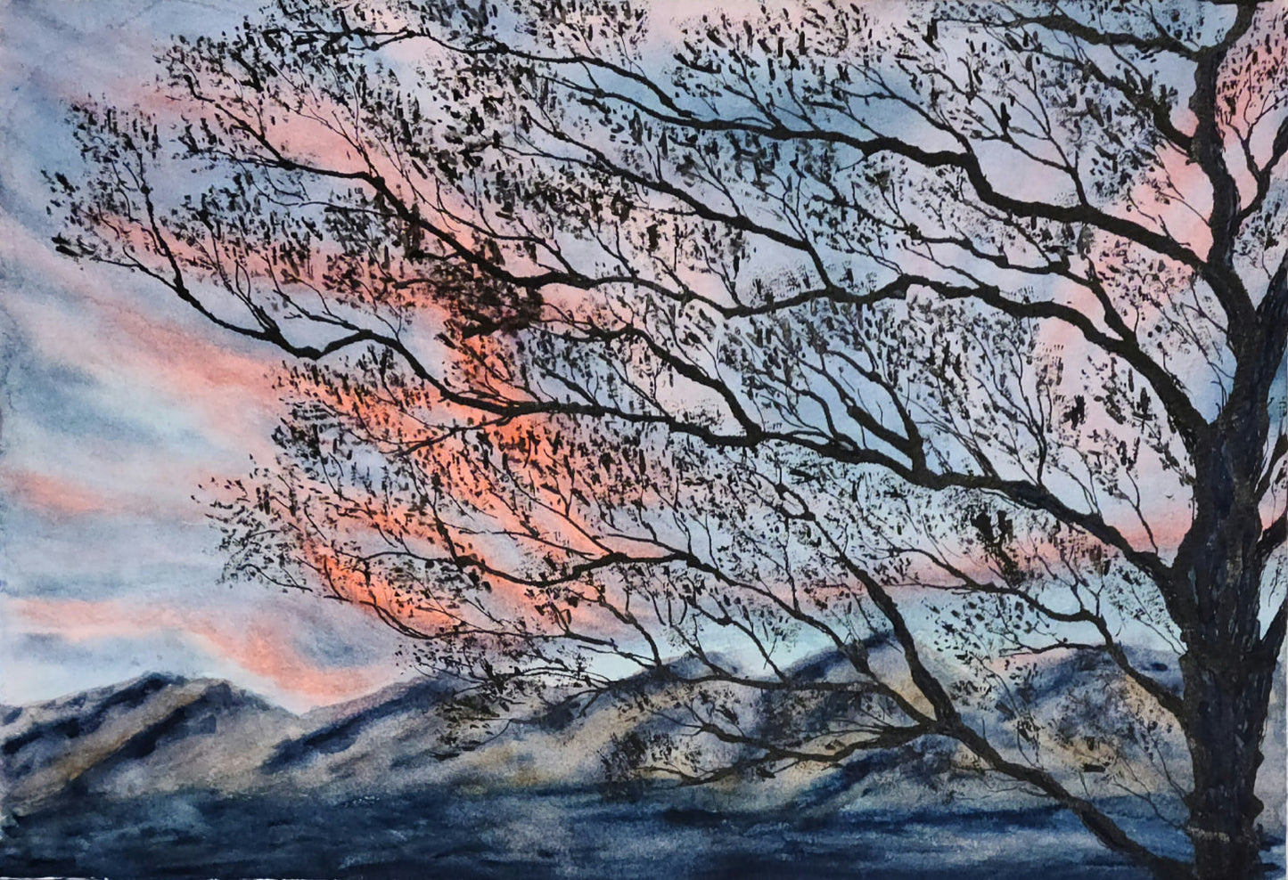 Season of Trees 5x7 prints - pack of 5