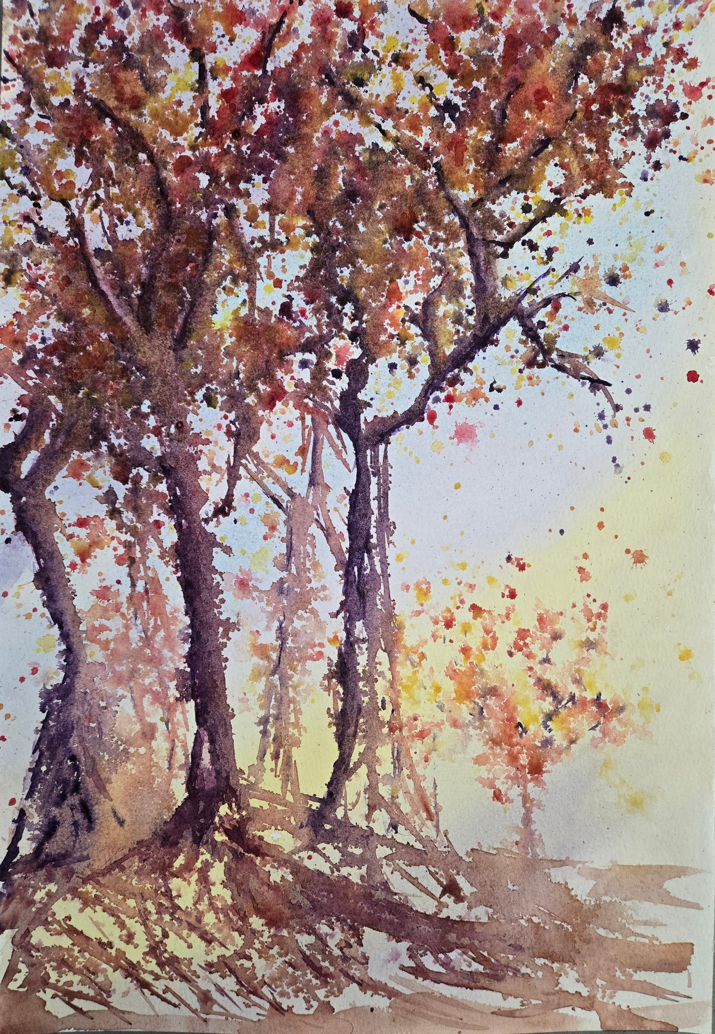 Landscapes Greeting Cards - pack of 5