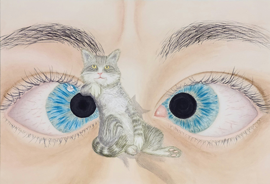 Schrödinger's Cat and the Perpetual State of Blindness desktop wallpaper - digital download