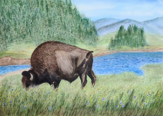 Yellowstone Bison desktop wallpaper - digital download